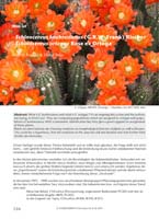 HP Echinocereus Online 2013 04_Seite_04